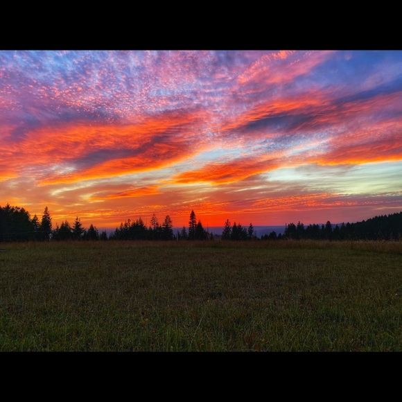 Meet your Posher, Rebecca Ball ❣️ - Picture 6 of 13